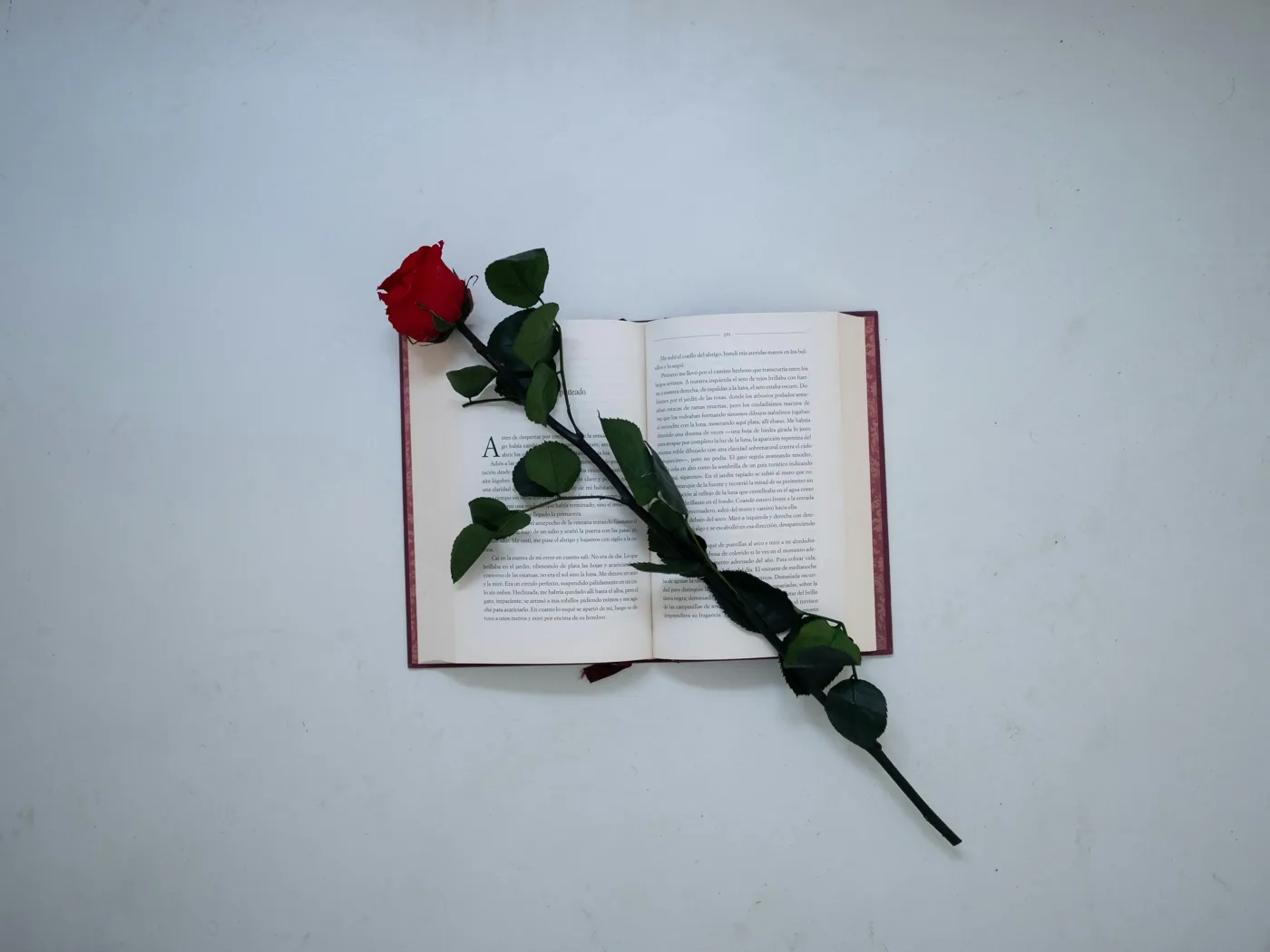 Saint-Valentin : Offrez un cadeau unique et chargé d'émotions avec Skribi
